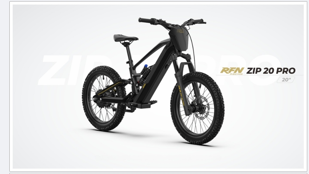 Características Bicicleta eléctrica RFN ZIP 20